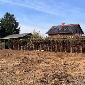 Demolice, bourací práce, odvoz suti - foto č. 9